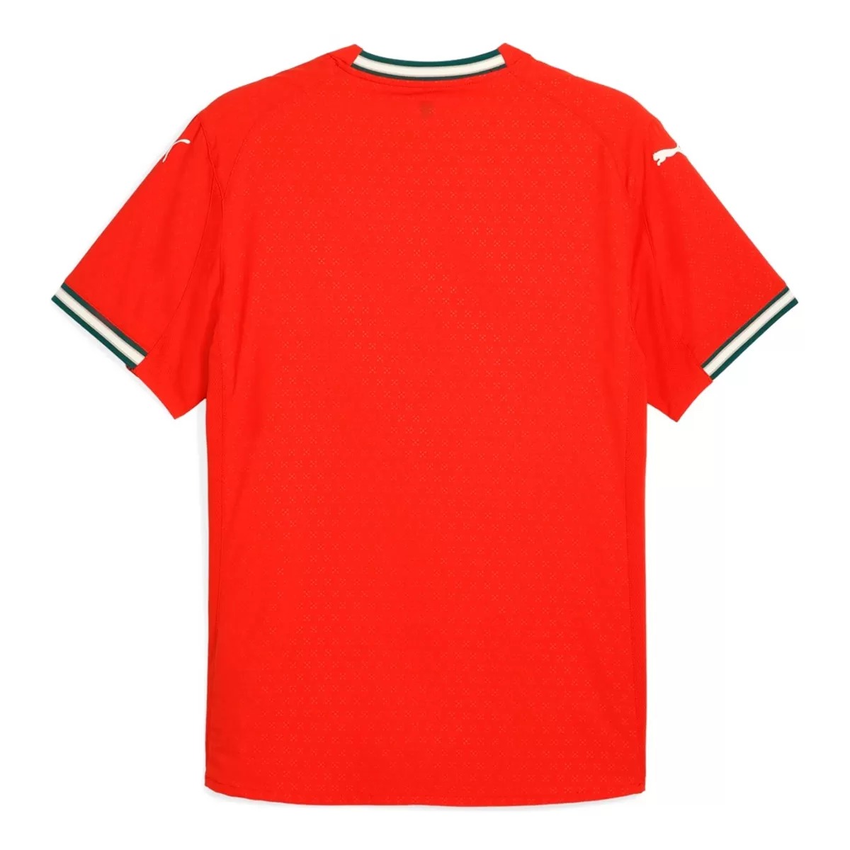 Portugal Home Match Jersey Player Version 2025